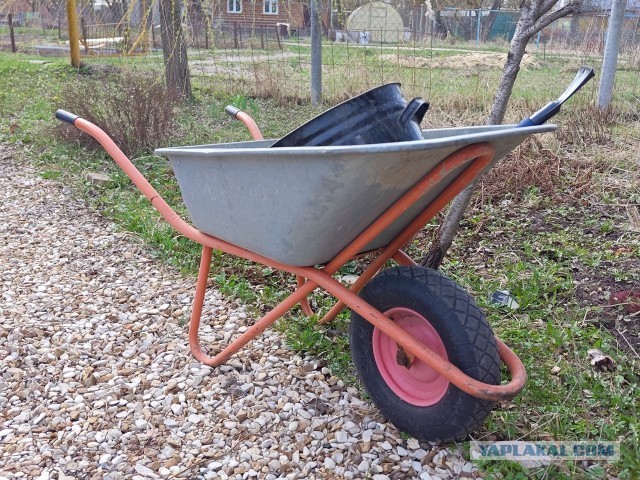 Температура упадет до 0 °C, ветер удвоит силу, а давление побьет рекорд в Подмосковье