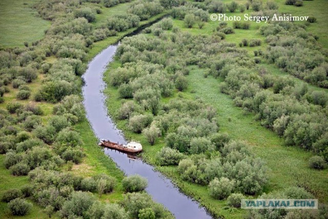Красота! Лето на Ямале. Фото
