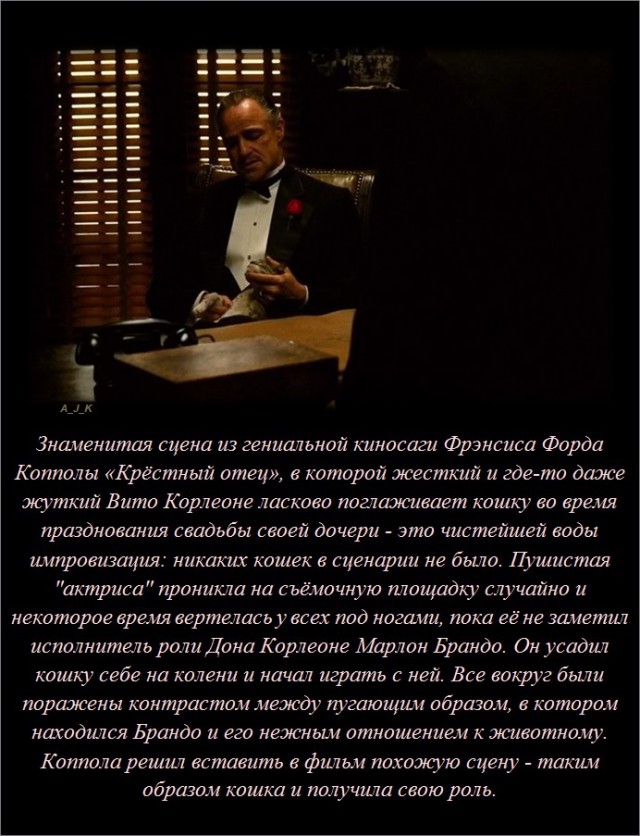 Пёстрые Факты