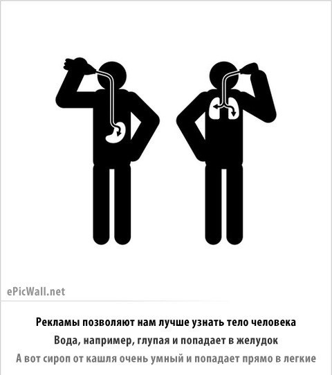 Анатомия человека