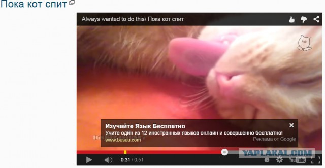 Пока кот спит