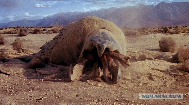 Есть следопыты на ЯПе?