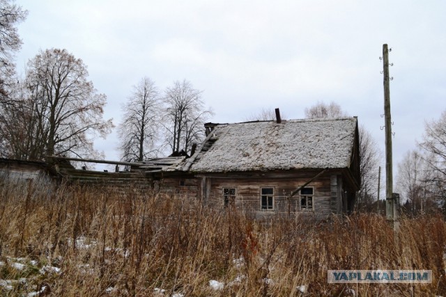 Моя Полная Чухлома 2014