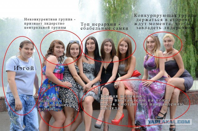 В мире животных