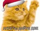 Авторские аватары для яповцев
