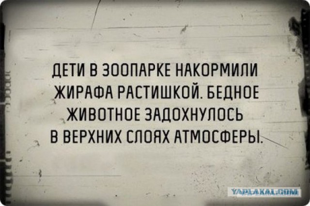 Злые шутки или минутка сарказма на ЯП-е, 16+