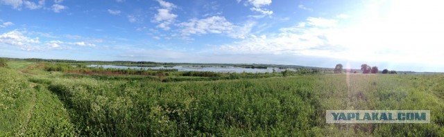 Подборка картинок 02.03.16