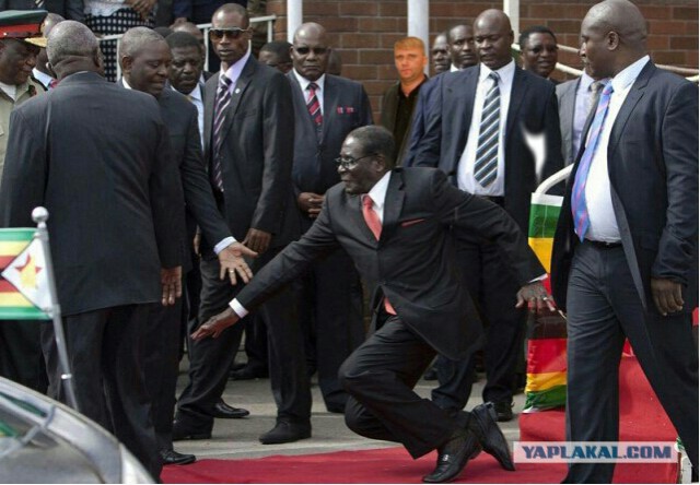 Пожабим президента Зимбабве?