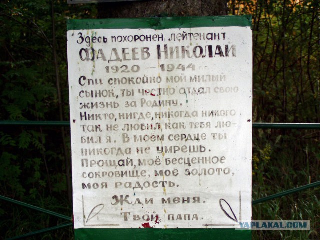 Эмоциональные фотографии