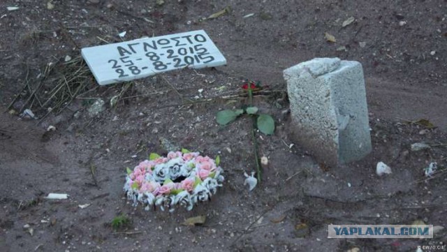 Греческие рыбаки: Беженцев потрошили на органы  в Турции, а тела сбрасывали  в нейтральные воды