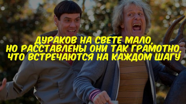 Небольшая подборка прикольных фотокарточек