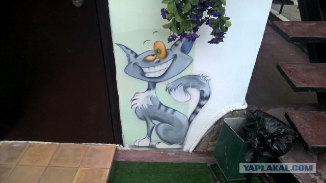 Каникулы во Владивостоке