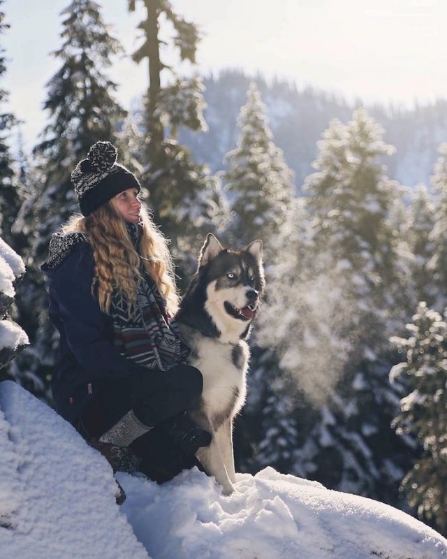 Самые смешные животные