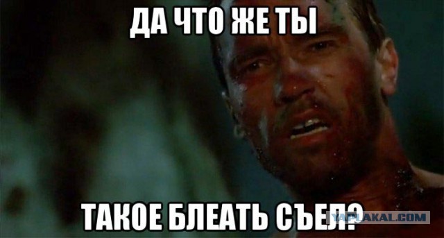Авторский юмор на злободневные темы