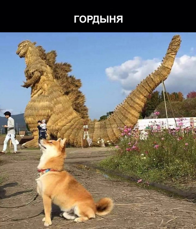 Картинки разные