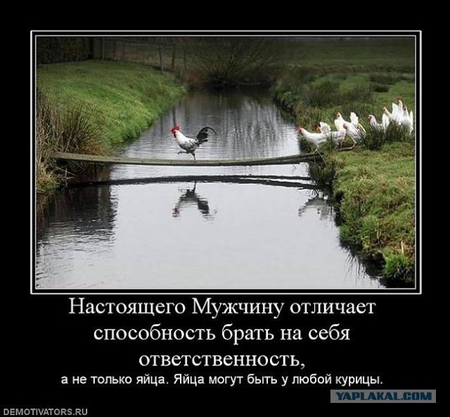 МСБшки (мужик с багажом) и РСПшки - второй сорт?