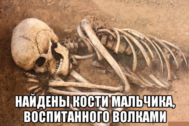 Почему бы не подеградировать, коллеги?