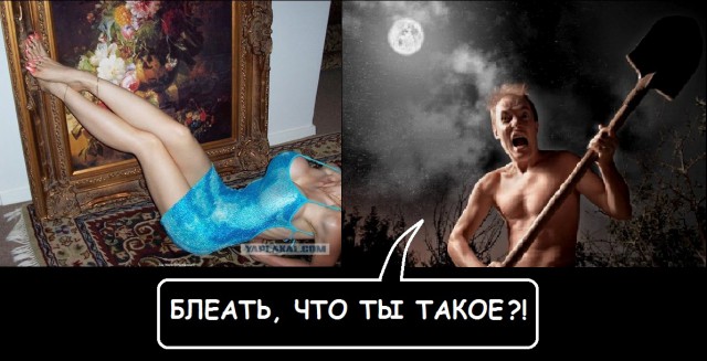 Посмотрим что сегодня происходит в сКотсетях