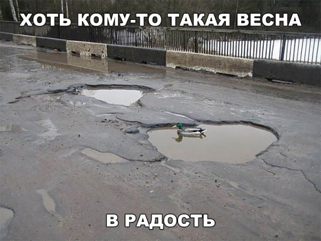 Нестандартный юмор