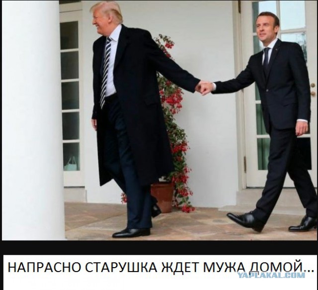 Сажающие дерево Трамп и Макрон превратились в мем