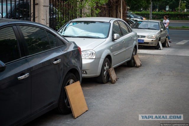 Неровной, но гордой походкой с добычей в зубах