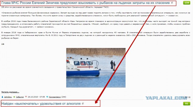 Глава МЧС России Евгений Зиничев предложил взыскивать с рыбаков на льдинах затраты на их спасение