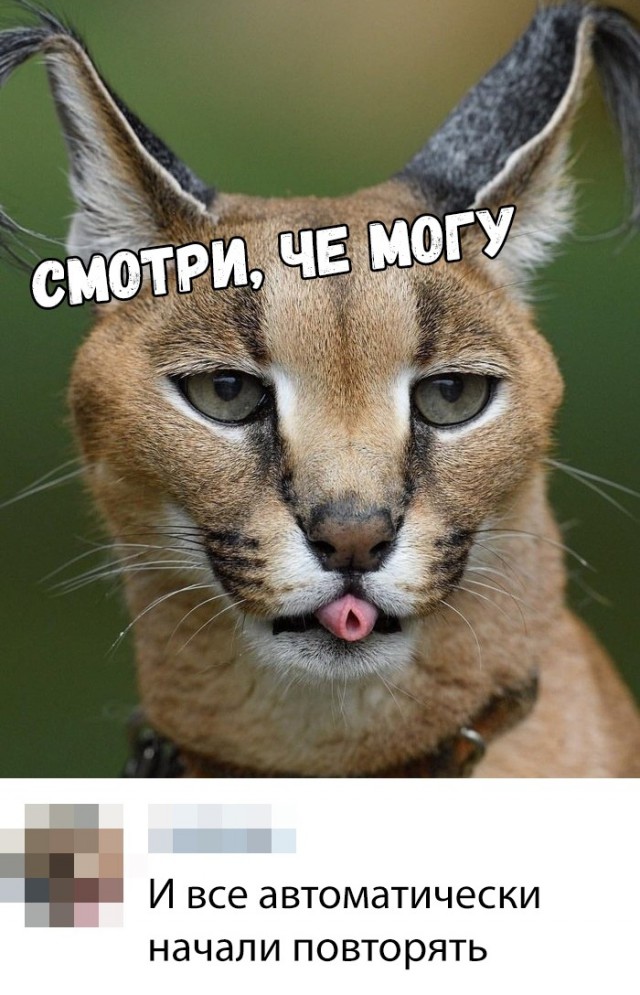 Нестандартный юмор