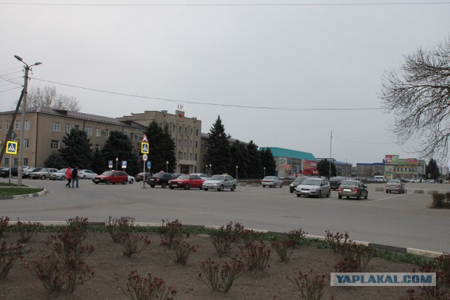 ЯП вокруг света. Германия, Австралия, Китай...