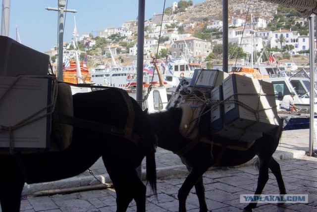 Офисные переезды, дешево! (4 фото)