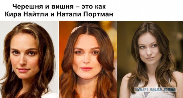 Могу себе позволить