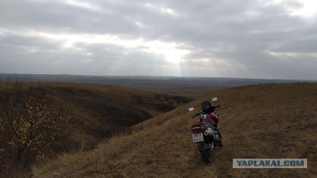 Записки первосезонника