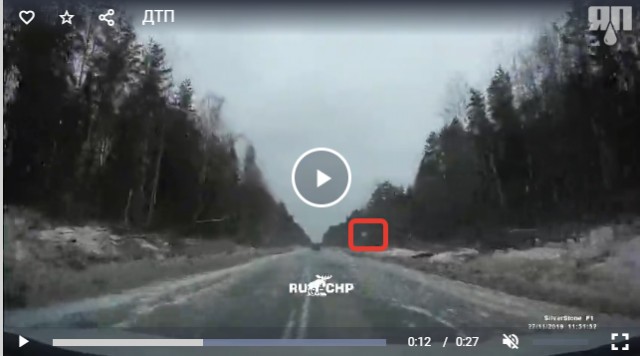Нивавод дал в зад из-за курицы
