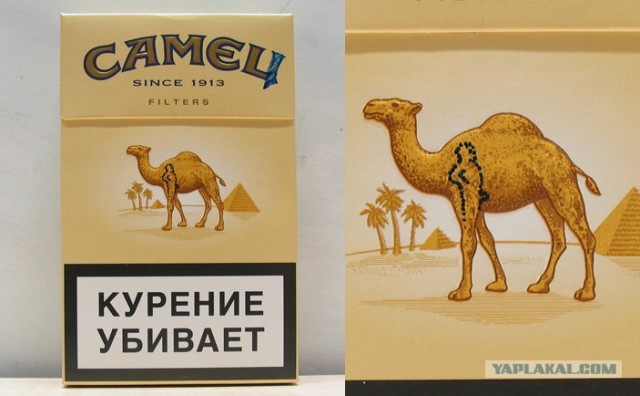 САМЕЦ