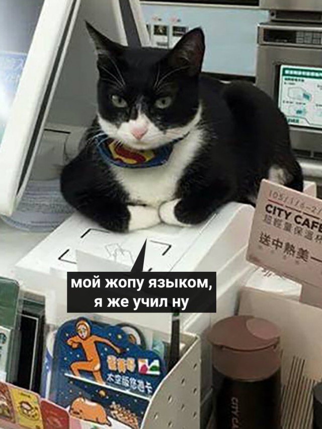 Котофеев пост