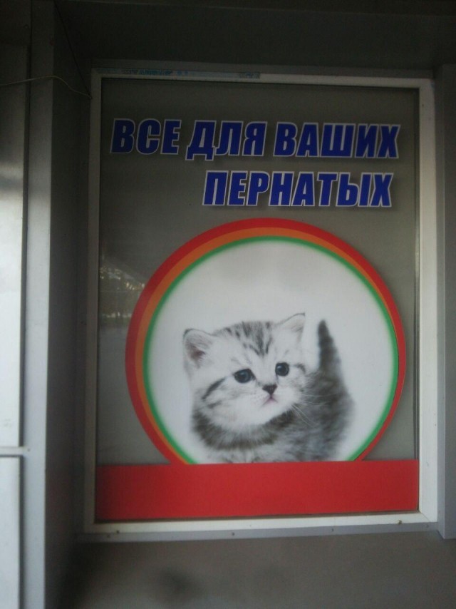 Погладь меня. Всё, достаточно
