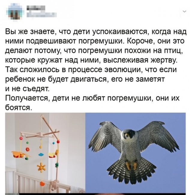 Картинки с надписями и всякие жизненные фразы 7.01.2021