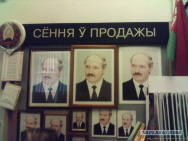 Песня белорусского рубля на допсессии (Б. Гребенщи