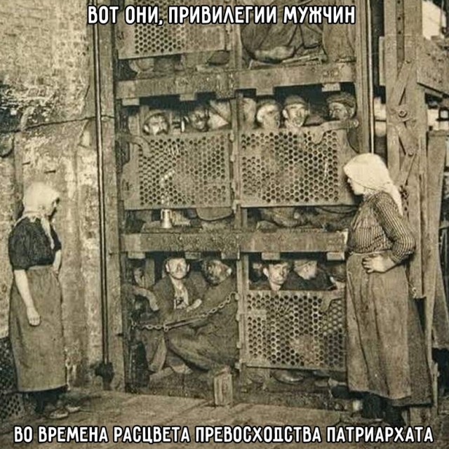 Весёлый полтишок 16.05