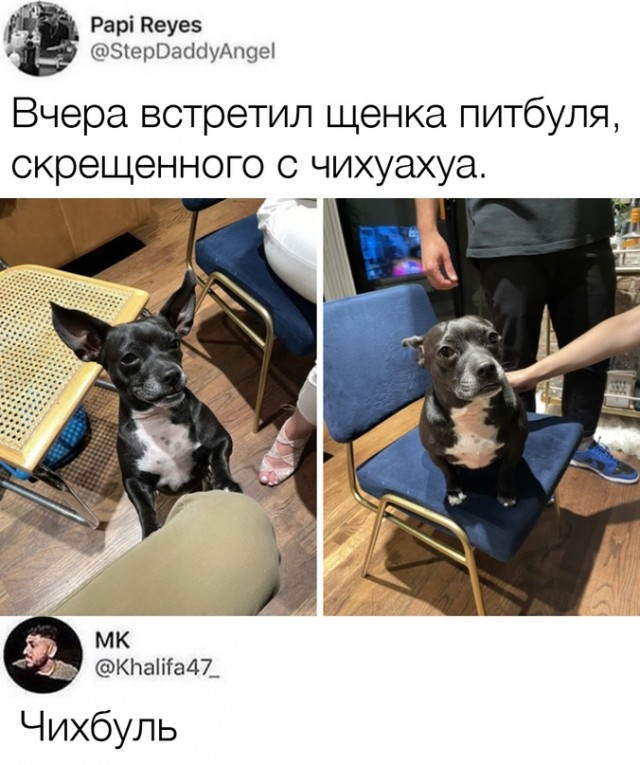 Картинки и мемы для настроения 12.07.2021