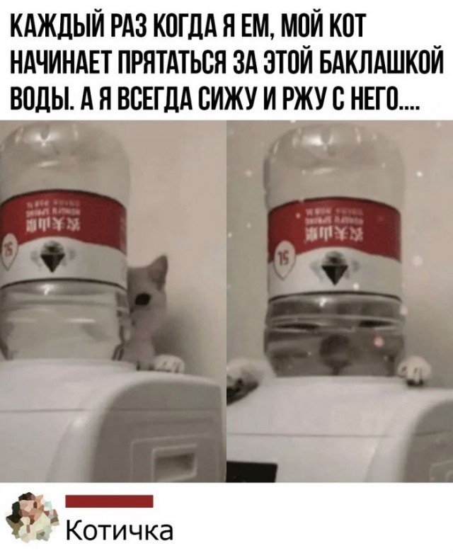 Картинки и мемы для настроения 12.08.2021