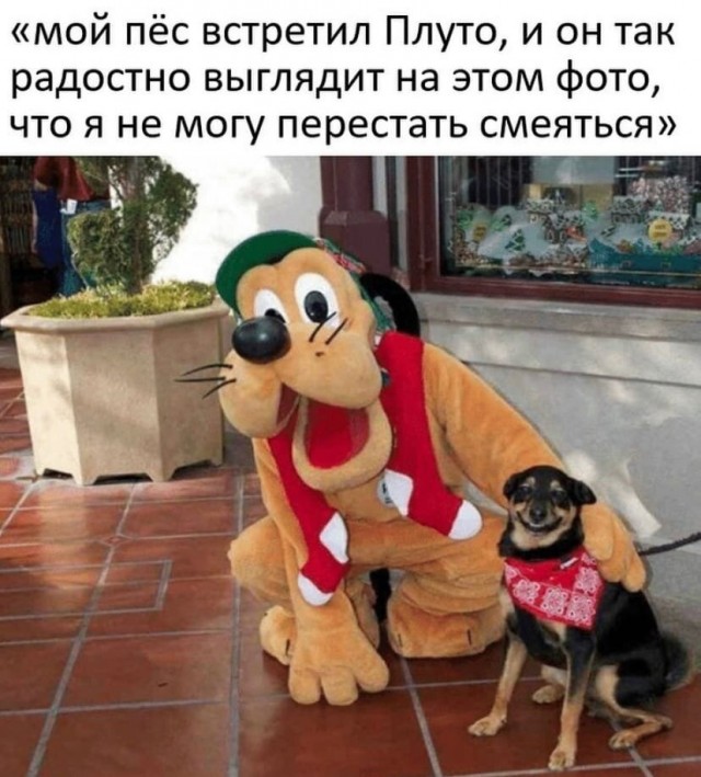 Так себе картинки 04.11.21
