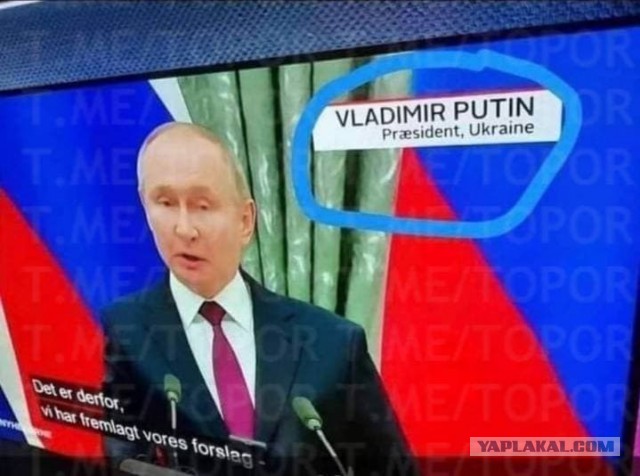Нужно законодательно запретить распространение информации с оскорблениями президента России, - Мизулина