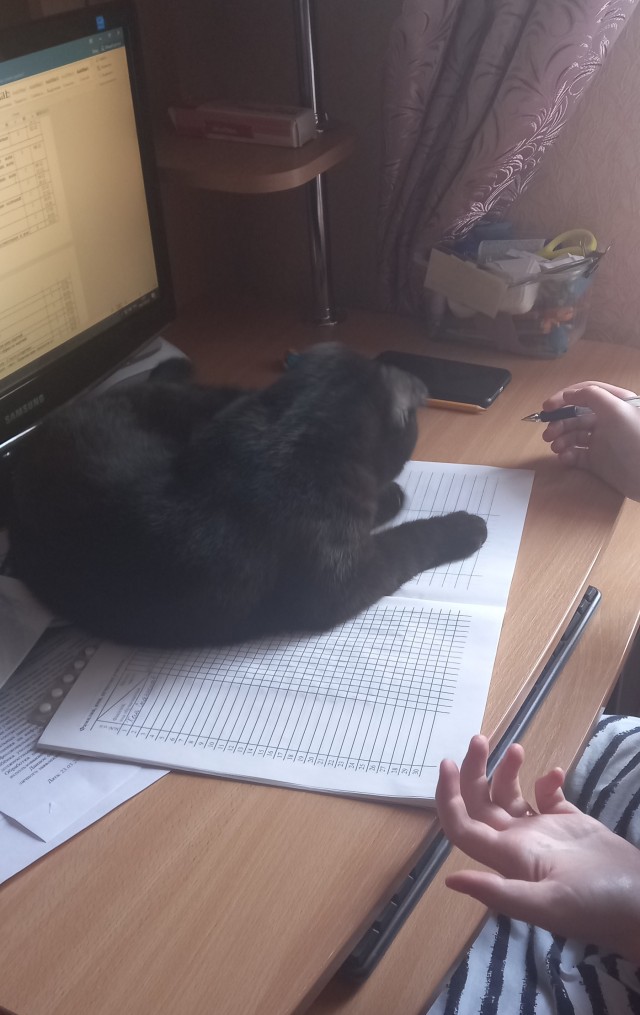 Ну, поехали в котоввторник!