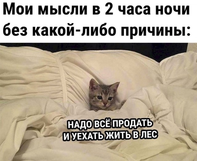 Так себе картинки 17.04.22