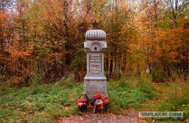 Шенкурское сражение: единственный случай, когда русские сошлись в бою с американцами