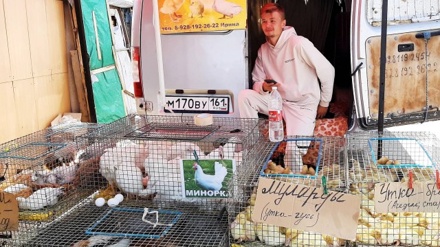 Базар в Ростове на фоне санкций. Продукты и цены. Фотоотчет