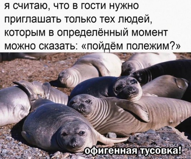 Картинки и мемы для настроения. Выходные рядышком...