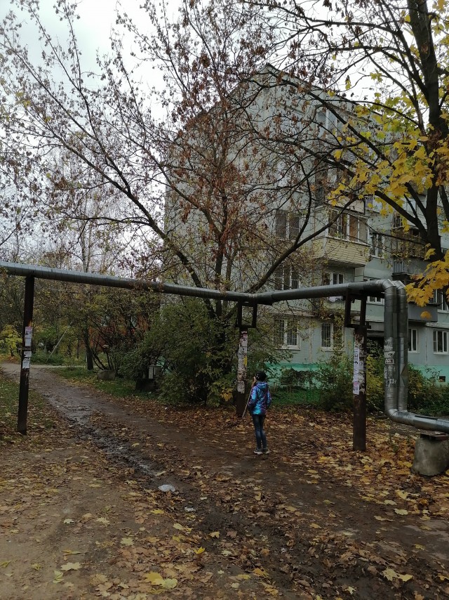 Найди кота