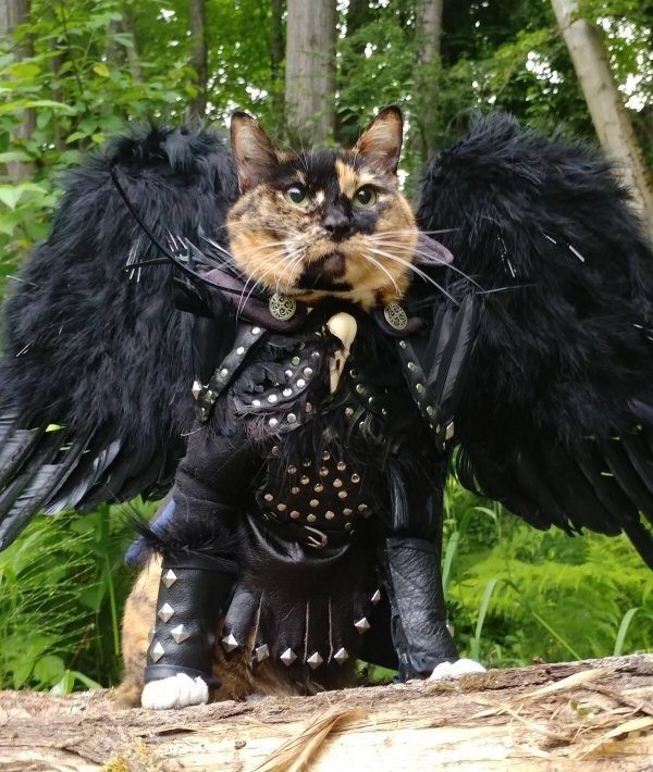 Прикольные и просто красивые картинки 26.09.2022