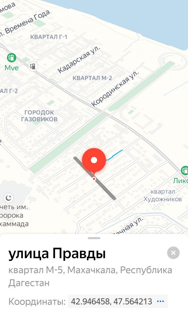 Отвлечься от дичи в жизни. Дичь в картинках